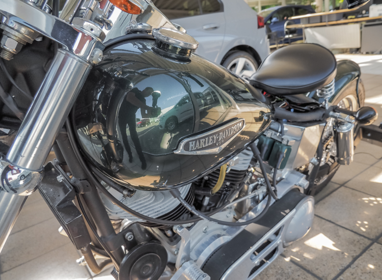 Shovelhead Baujahr 1981 Leder