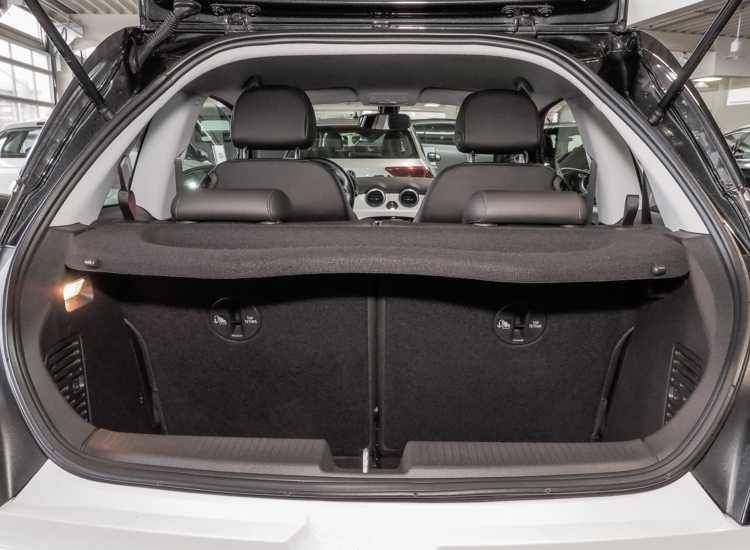 Adam 1.0 Turbo Slam ecoFlex, Klimaautomatik, Winter+Sommer auf Alu!!